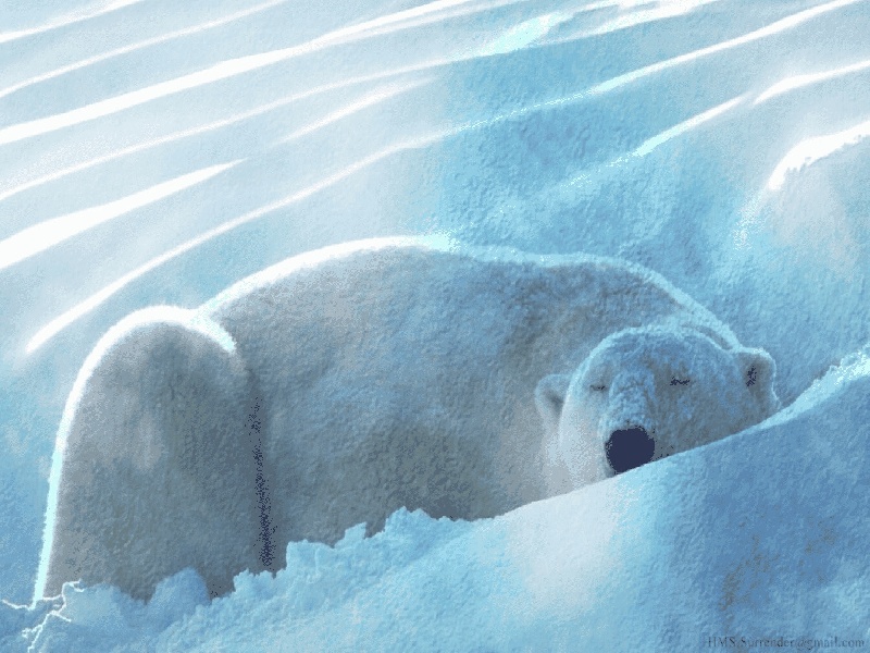 王女士成功案例